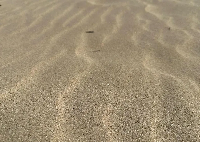 Passat12 Slantschew brjag